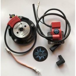 N.B. Le rotor de l’image est purement indicatif et peut ne pas être celui qui fait référence au moteur dans la description