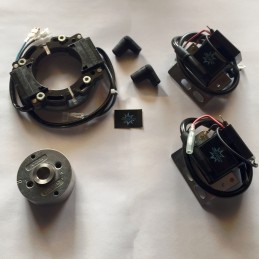 N.B. El rotor de la imagen es puramente indicativo y puede no ser el que se refiere al motor de la descripción