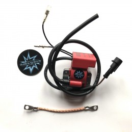 Digital Coil SELETTRA...