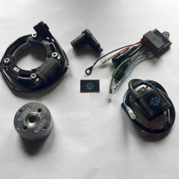 El rotor de la imagen es puramente indicativo y puede no ser el que se refiere al motor en la descripción