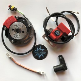 N.B. Le rotor de l’image est purement indicatif et peut ne pas être celui qui fait référence au moteur dans la description