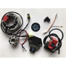 N.B. El rotor de la imagen es puramente indicativo y puede no ser el que se refiere al motor de la descripción