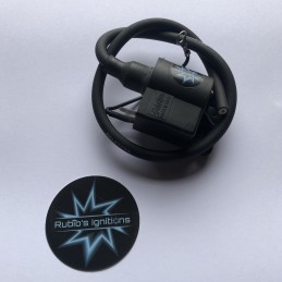 Analog coil SELETTRA 22,000...