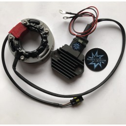 STATOR + RÉGULATEUR 12V...