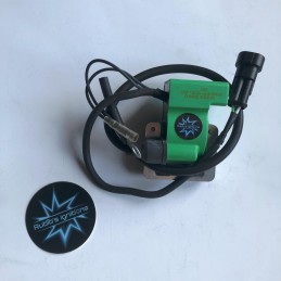 OK Kart SELETTRA REEL...