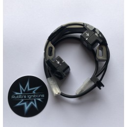 SELETTRA estator para KTM...