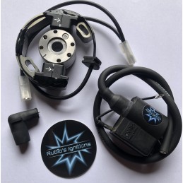 SELETTRA 22.000 rpm para...