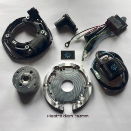El rotor de la imagen es puramente indicativo y puede que no sea el que se refiera al motor de la descripción