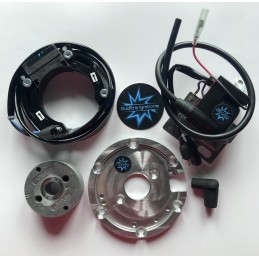 N.B. Le rotor de l’image est purement indicatif et peut ne pas être celui qui fait référence au moteur dans la description
