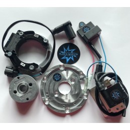 N.B. El rotor de la imagen es puramente indicativo y puede no ser el que se refiere al motor de la descripción