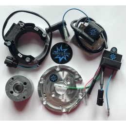 The rotor in the image is purely indicative and may not be the one referring to the engine in the description