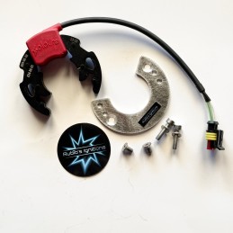 Selettra Mini stator...