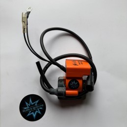 OK-N Kart SELETTRA COIL...