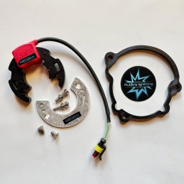 Stator Selettra Mini...