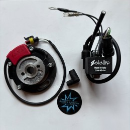 SELETTRA NO2019 3° per Kart...