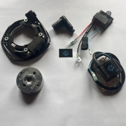 N.B. El rotor de la imagen es puramente indicativo y puede no ser el que se refiere al motor de la descripción