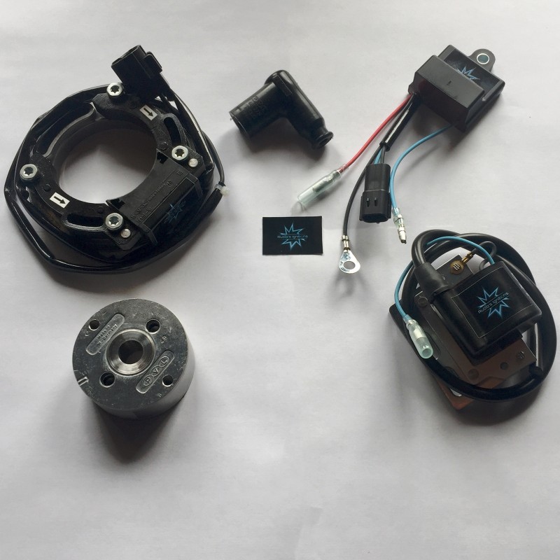 N.B. El rotor de la imagen es puramente indicativo y puede no ser el que se refiere al motor de la descripción