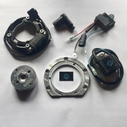 N.B. El rotor de la imagen es puramente indicativo y puede no ser el que se refiere al motor de la descripción