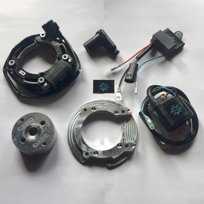 n.b. il rotore nell'immagine è puramente indicativo e potrebbe non essere quello riferito al motore in descrizione