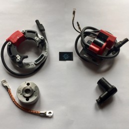 N.B. El rotor de la imagen es puramente indicativo y puede no ser el que se refiere al motor de la descripción