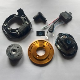 N.B. El rotor de la imagen es puramente indicativo y puede no ser el que se refiere al motor de la descripción