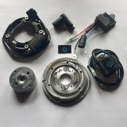 N.B. El rotor de la imagen es puramente indicativo y puede no ser el que se refiere al motor de la descripción