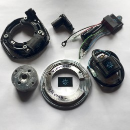 El rotor de la imagen es puramente indicativo y puede no ser el que se refiere al motor en la descripción