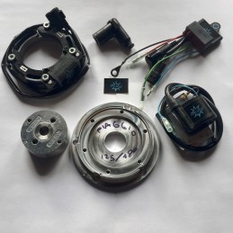 Le rotor de l’image est purement indicatif et peut ne pas être celui qui fait référence au moteur dans la description