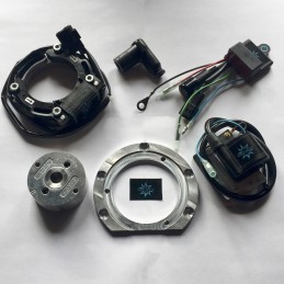 Le rotor de l’image est purement indicatif et peut ne pas être celui qui fait référence au moteur dans la description