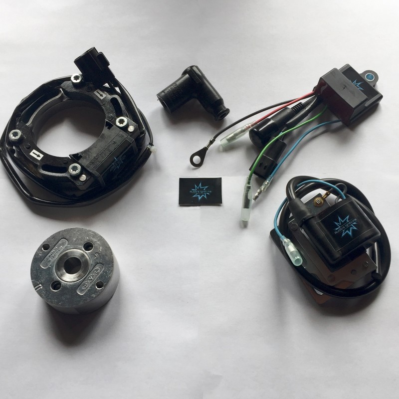 n.b. il rotore nell'immagine è puramente indicativo e potrebbe non essere quello riferito al motore in descrizione