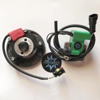 SELETTRA OK and OK-N Kart