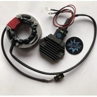 ESTATORES + REGULADOR SML SELETTRA DE 12 V CON LUCES