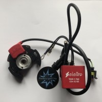 SELETTRA MINI KART 60CC omologata 034-IG-58 - 14.000 RPM  - PF5858