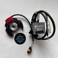 SELETTRA MINI KART 60CC approved 034-IG-13 -13.000 RPM - PF5959